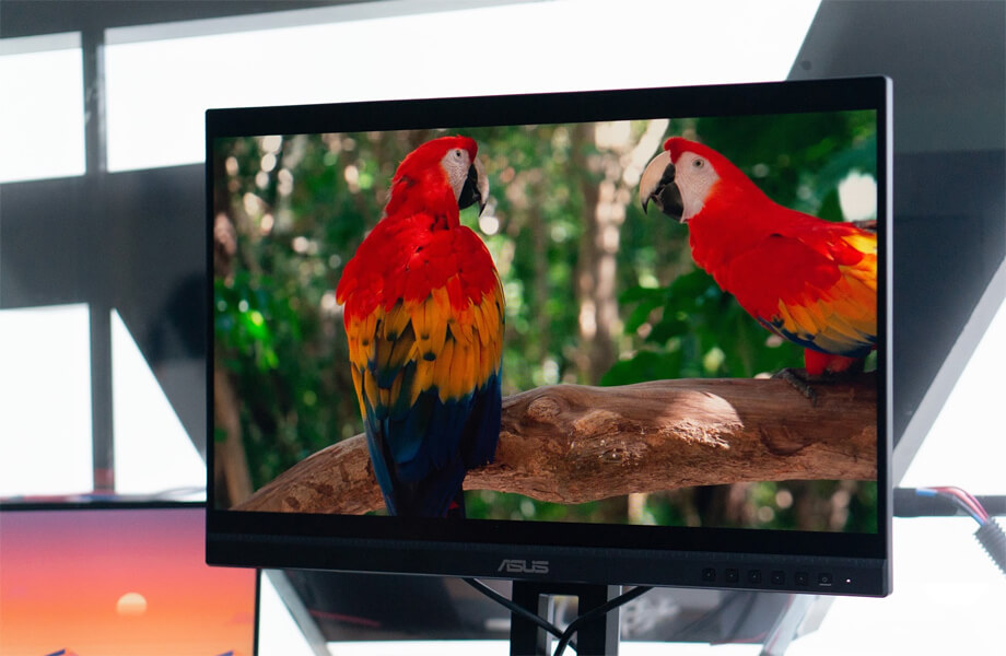 TNC Store Màn Hình Asus ProArt PA248QV