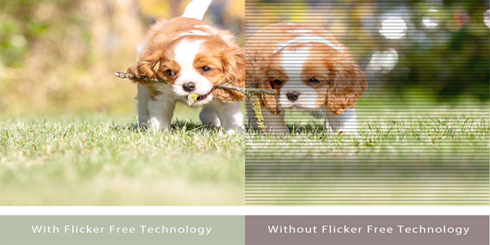 TNC Store Màn Hình Gaming Asus VY249HGR 24 Inch/ FHD/ IPS/ 120Hz/ 1ms