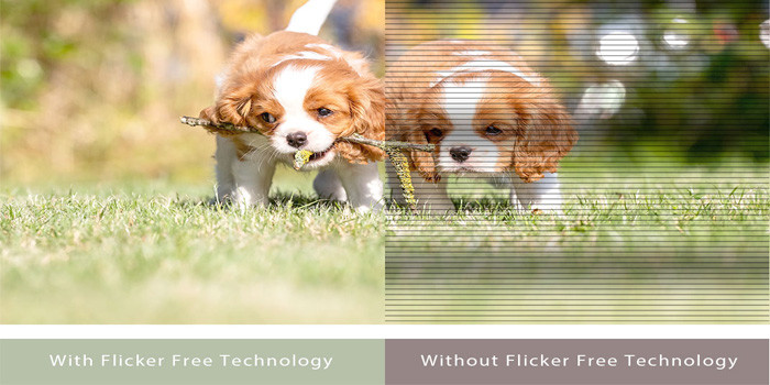 TNC Store Màn Hình Gaming Asus VY279HGR