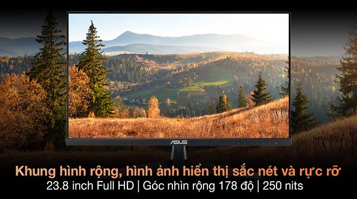 TNC Store Màn Hình Đồ Họa ASUS VY249HE